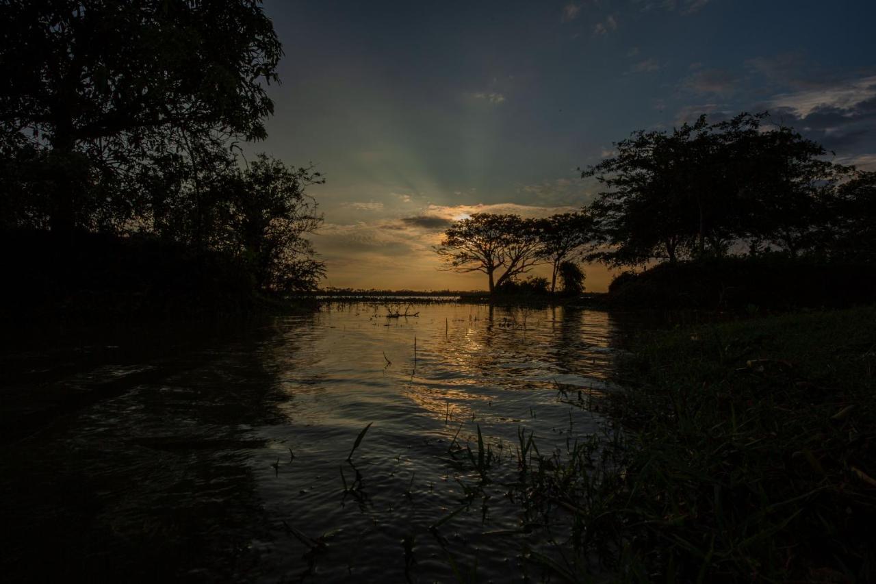 Olu Villa Resort Tissamaharama Buitenkant foto